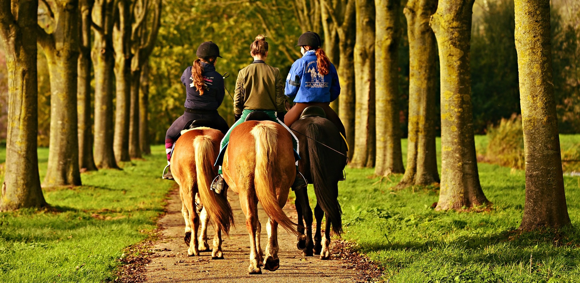 4 Best Day Trips near London | 2020 Visitor Guide