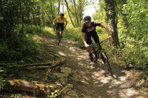 Mountain biking bristol